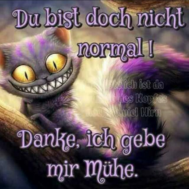 Grinsekatze on TikToc!